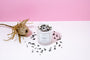 Sandalwood + Amber Refillable Eco Candle | Eco-friendly Candles Australia